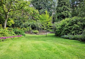 Optimiser l'expérience du jardin à Voyennes